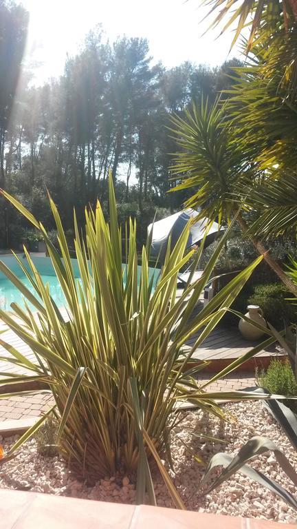 La Maison Du Castellet Le Castellet  Εξωτερικό φωτογραφία